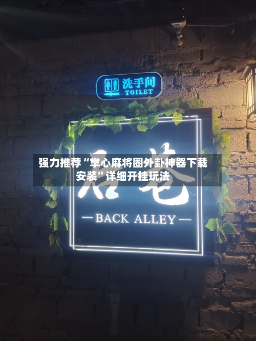 强力推荐“掌心麻将圈外卦神器下载安装”详细开挂玩法-第2张图片