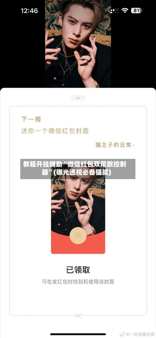 教程开挂辅助“微信红包双尾数控制器”(曝光透视必备猫腻)-第2张图片