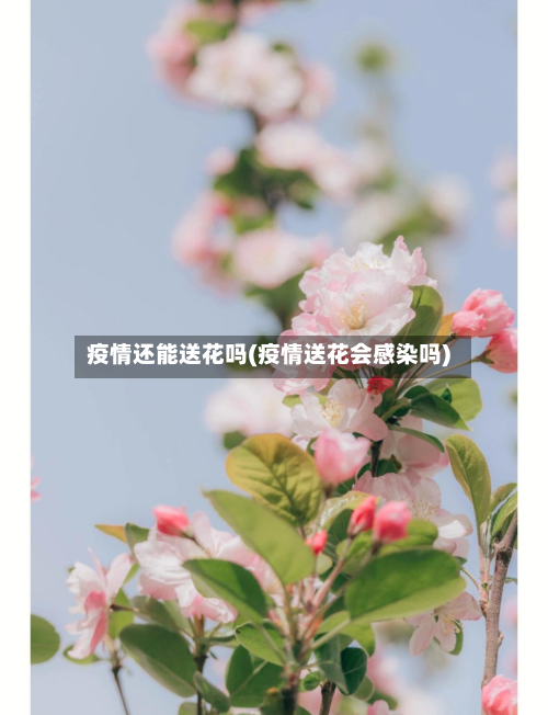 疫情还能送花吗(疫情送花会感染吗)-第2张图片
