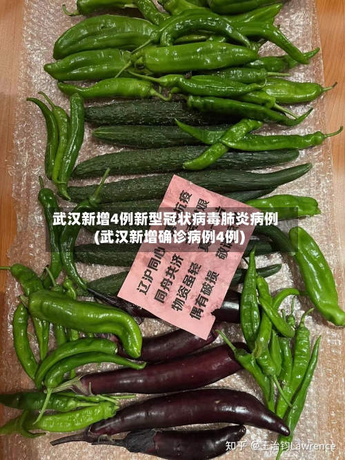 武汉新增4例新型冠状病毒肺炎病例(武汉新增确诊病例4例)-第2张图片