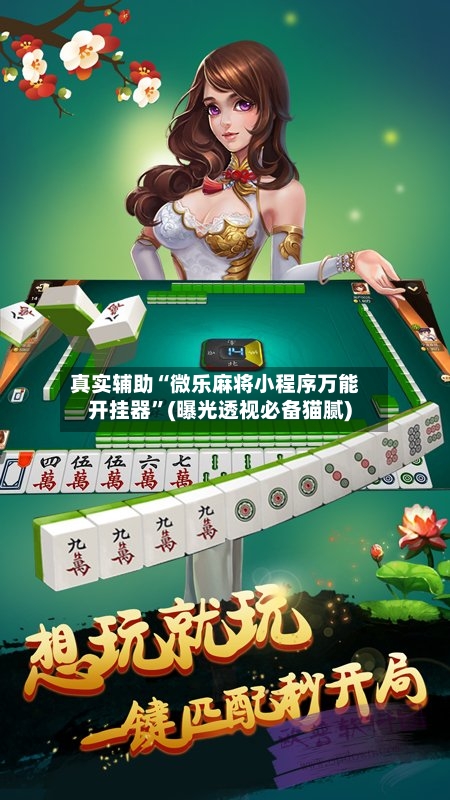 真实辅助“微乐麻将小程序万能开挂器”(曝光透视必备猫腻)-第2张图片