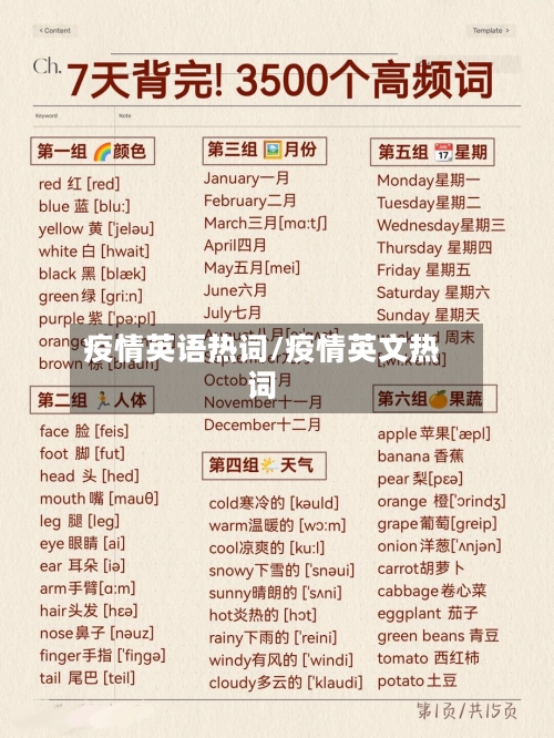 疫情英语热词/疫情英文热词-第2张图片