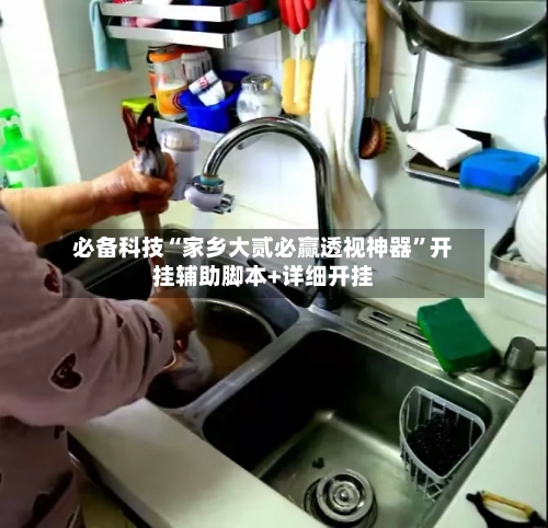 必备科技“家乡大贰必赢透视神器”开挂辅助脚本+详细开挂-第3张图片