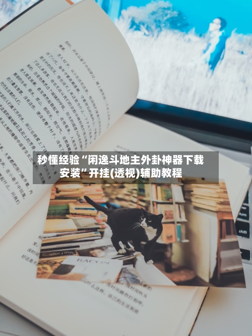 秒懂经验“闲逸斗地主外卦神器下载安装”开挂(透视)辅助教程-第3张图片