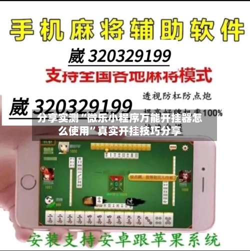 分享实测“微乐小程序万能开挂器怎么使用”真实开挂技巧分享-第2张图片