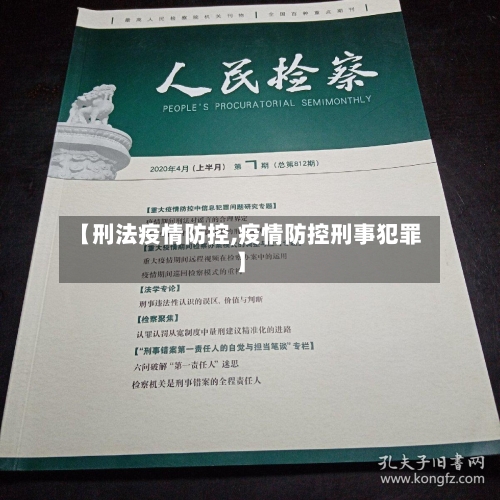 【刑法疫情防控,疫情防控刑事犯罪】-第3张图片