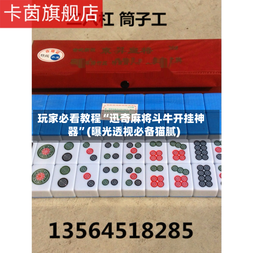 玩家必看教程“迅奇麻将斗牛开挂神器”(曝光透视必备猫腻)-第3张图片