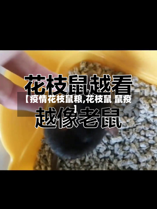 【疫情花枝鼠粮,花枝鼠 鼠疫】-第2张图片