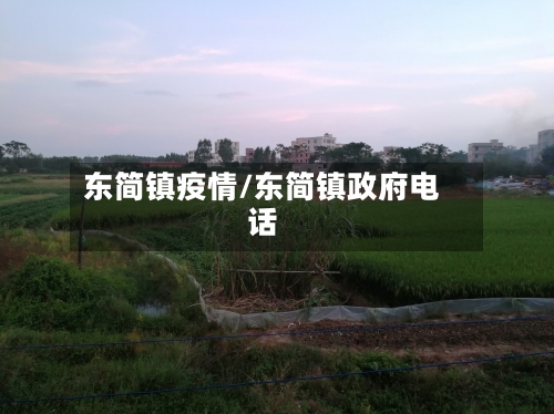 东简镇疫情/东简镇政府电话