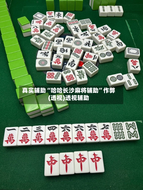 真实辅助“哈哈长沙麻将辅助	”作弊(透视)透视辅助-第2张图片