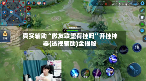 真实辅助“微友联盟有挂吗”开挂神器{透视辅助}全揭秘-第2张图片