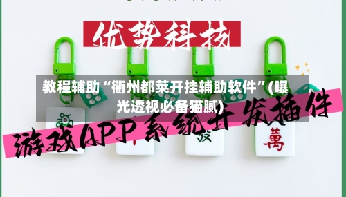 教程辅助“衢州都莱开挂辅助软件	”(曝光透视必备猫腻)-第2张图片