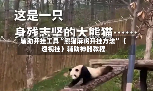 辅助开挂工具“熊猫麻将开挂方法”（透视挂）辅助神器教程-第2张图片