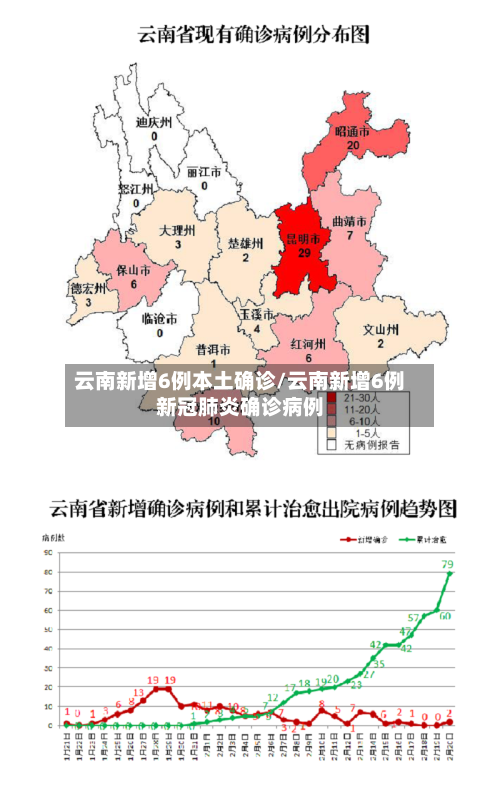 云南新增6例本土确诊/云南新增6例新冠肺炎确诊病例