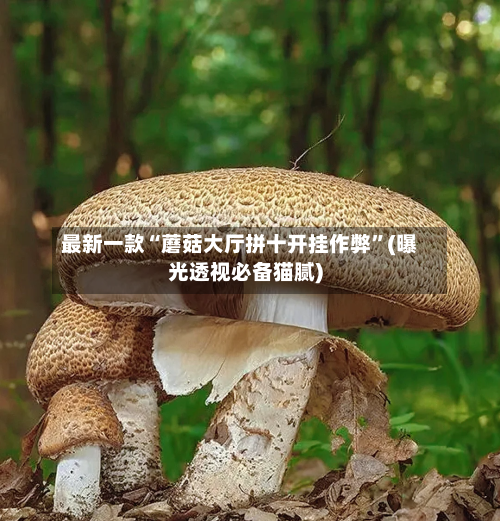 最新一款“蘑菇大厅拼十开挂作弊	”(曝光透视必备猫腻)-第3张图片