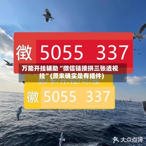 万能开挂辅助“微信链接拼三张透视挂”(原来确实是有插件)-第2张图片