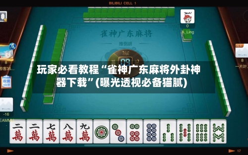 玩家必看教程“雀神广东麻将外卦神器下载”(曝光透视必备猫腻)-第2张图片