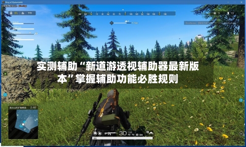 实测辅助“新道游透视辅助器最新版本”掌握辅助功能必胜规则-第2张图片