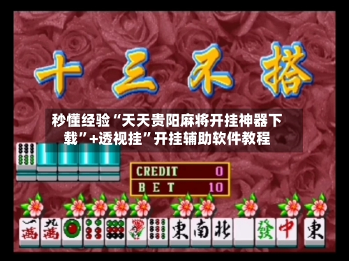 秒懂经验“天天贵阳麻将开挂神器下载”+透视挂”开挂辅助软件教程-第2张图片