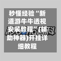 秒懂经验“新道游牛牛透视安装教程	”(辅助神器)开挂详细教程-第2张图片