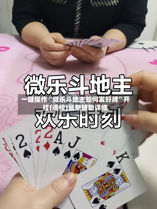 一键操作“微乐斗地主如何发好牌”开挂(透视)最新辅助详细-第2张图片