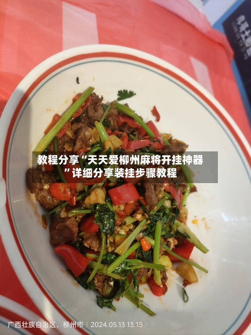 教程分享“天天爱柳州麻将开挂神器	”详细分享装挂步骤教程-第2张图片