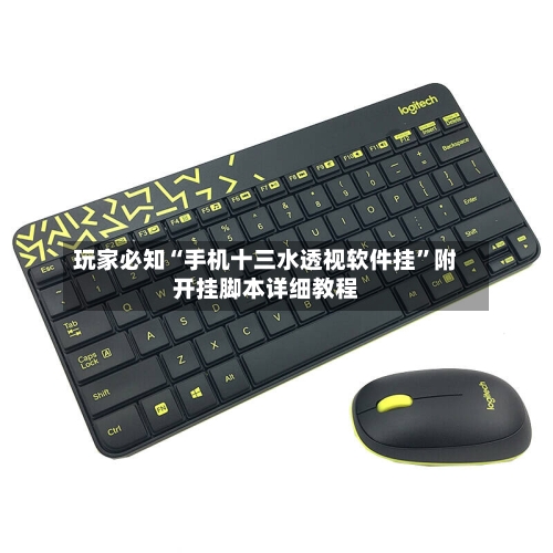 玩家必知“手机十三水透视软件挂”附开挂脚本详细教程