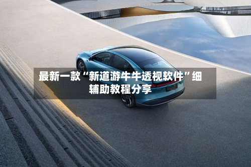 最新一款“新道游牛牛透视软件”细辅助教程分享