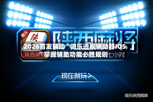 2026首发辅助“微乐透视辅助器IOS	”掌握辅助功能必胜规则-第2张图片
