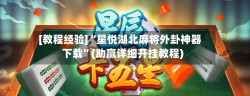 [教程经验]“星悦湖北麻将外卦神器下载”(助赢详细开挂教程)-第2张图片