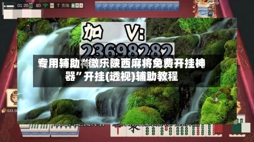 专用辅助“微乐陕西麻将免费开挂神器”开挂(透视)辅助教程-第2张图片