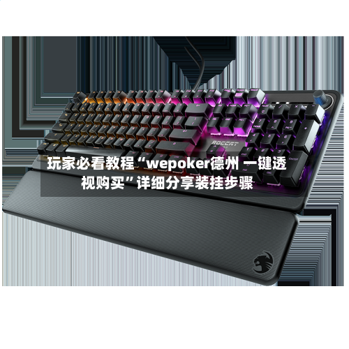 玩家必看教程“wepoker德州 一键透视购买”详细分享装挂步骤-第3张图片