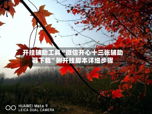 开挂辅助工具“微信开心十三张辅助器下载	”附开挂脚本详细步骤-第2张图片