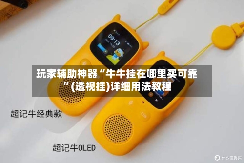 玩家辅助神器“牛牛挂在哪里买可靠”(透视挂)详细用法教程-第2张图片