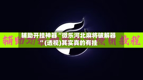 辅助开挂神器“微乐河北麻将破解器”(透视)其实真的有挂-第3张图片