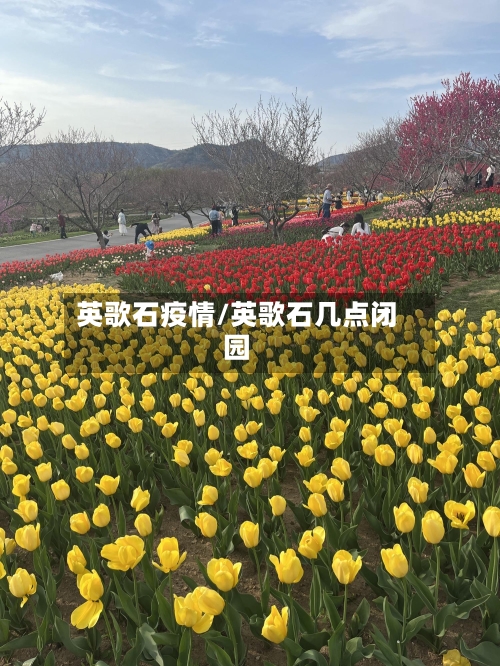 英歌石疫情/英歌石几点闭园