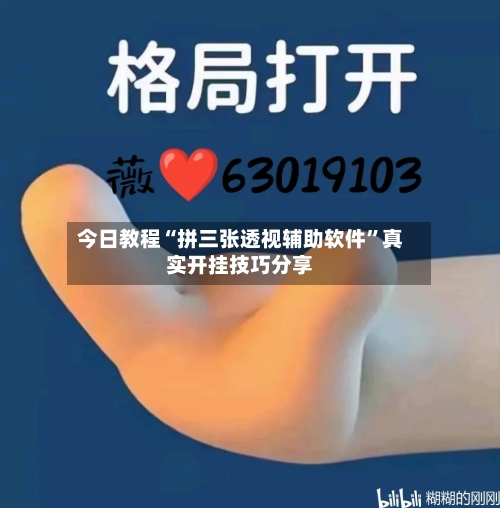 今日教程“拼三张透视辅助软件	”真实开挂技巧分享-第2张图片