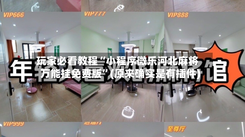 玩家必看教程“小程序微乐河北麻将万能挂免费版”(原来确实是有插件)-第2张图片