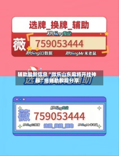 辅助最新信息“微乐山东麻将开挂神器”细辅助教程分享-第2张图片