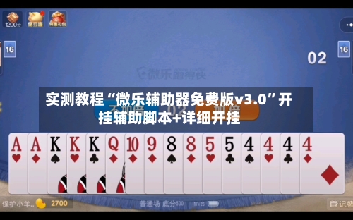 实测教程“微乐辅助器免费版v3.0”开挂辅助脚本+详细开挂-第3张图片