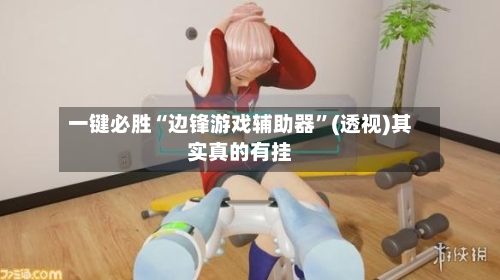 一键必胜“边锋游戏辅助器”(透视)其实真的有挂-第2张图片