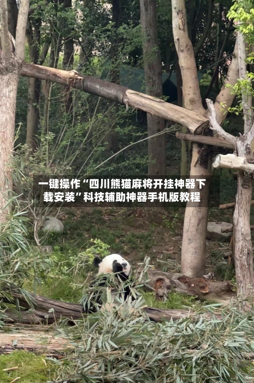 一键操作“四川熊猫麻将开挂神器下载安装”科技辅助神器手机版教程-第2张图片