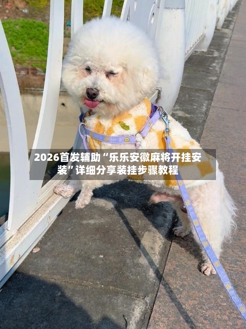 2026首发辅助“乐乐安徽麻将开挂安装”详细分享装挂步骤教程-第3张图片