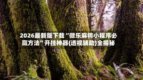 2026最新版下载“微乐麻将小程序必赢方法”开挂神器{透视辅助}全揭秘-第2张图片