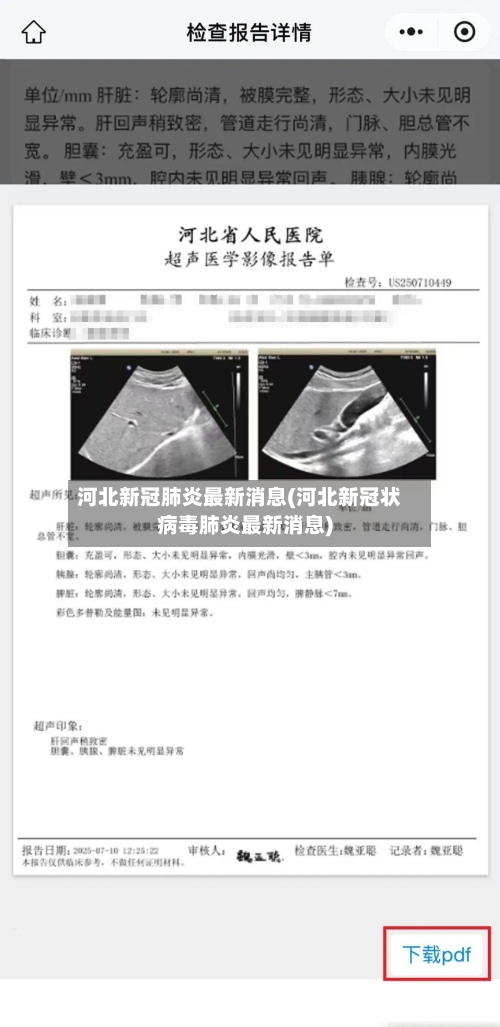 河北新冠肺炎最新消息(河北新冠状病毒肺炎最新消息)