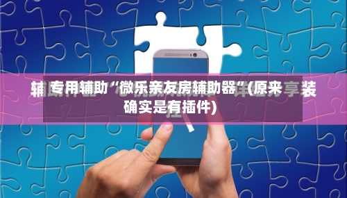 专用辅助“微乐亲友房辅助器”(原来确实是有插件)-第3张图片