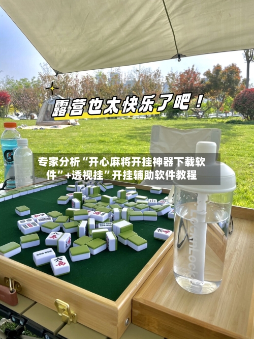 专家分析“开心麻将开挂神器下载软件”+透视挂	”开挂辅助软件教程-第2张图片