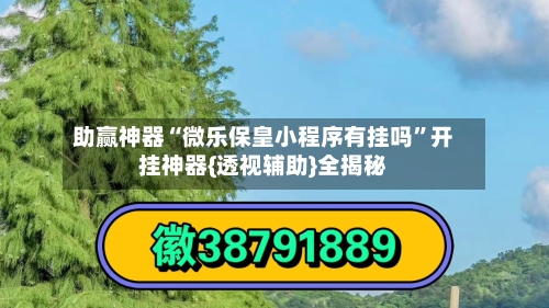 助赢神器“微乐保皇小程序有挂吗”开挂神器{透视辅助}全揭秘-第2张图片