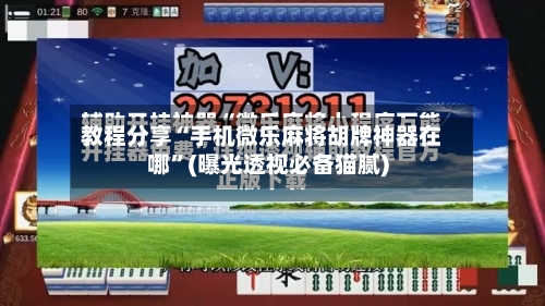 教程分享“手机微乐麻将胡牌神器在哪”(曝光透视必备猫腻)