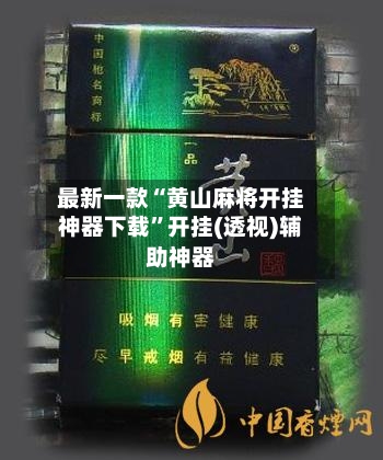 最新一款“黄山麻将开挂神器下载”开挂(透视)辅助神器-第3张图片